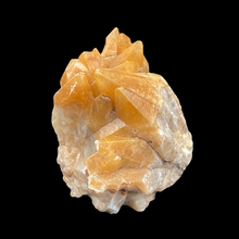 Load image into Gallery viewer, Side View Of Large Tigertooth Calcite Home Decor Piece, Cream And Orange In Color
