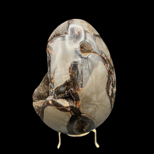 Load image into Gallery viewer, Side View Of Septarian Druzy Egg Septarian Dragon Egg With Druzy Crystals
