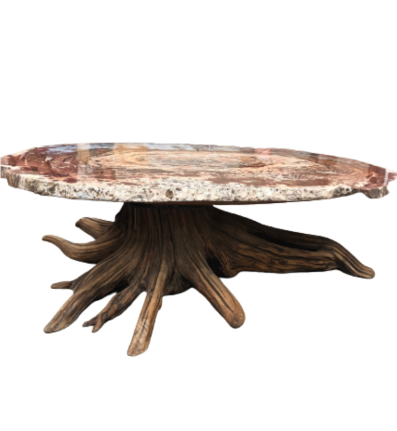Side View Of Petrified Wood Edge And Driftwood Base