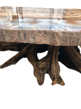 Load image into Gallery viewer, Stunning Petrified Wood Accent Table with Driftwood Base: A Natural Masterpiece

