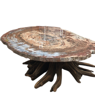Load image into Gallery viewer, Oval Polished Red, Mustard, Cream, Brown, Black Petrified Wood Table Top On Brown Driftwood Base
