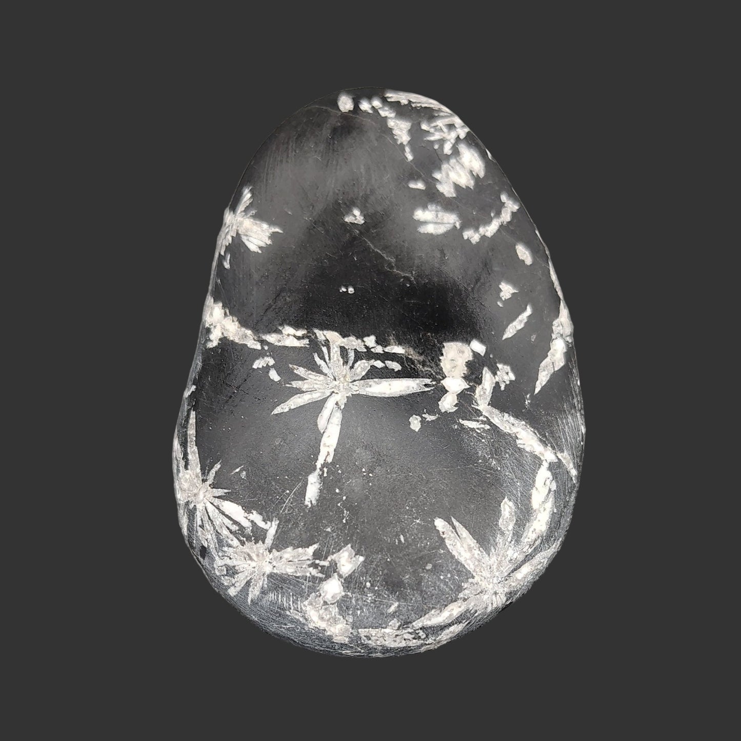 This is the front side of this Chrysanthemum stone. It is Mostly black, with some white patterns and lines.