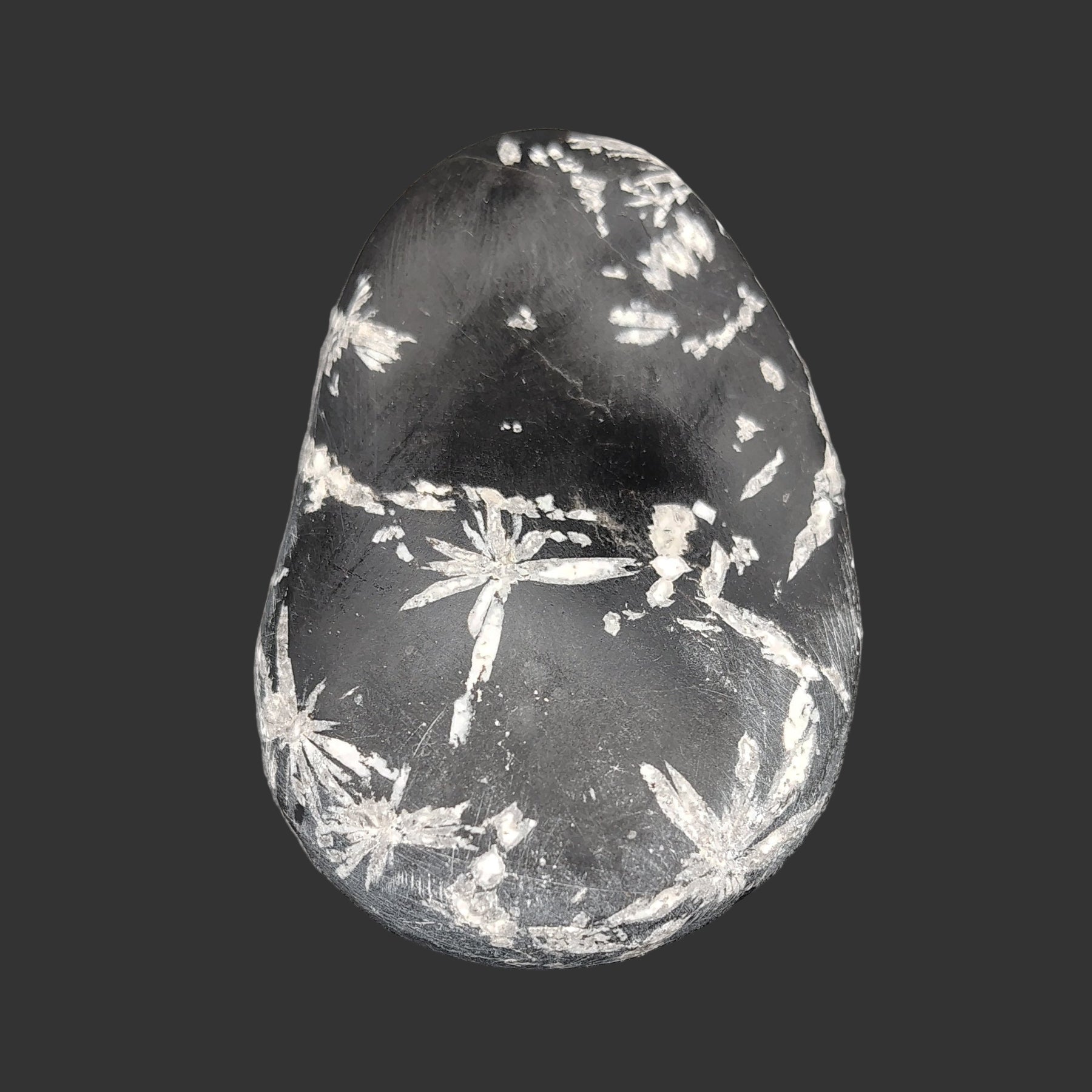 This is the front side of this Chrysanthemum stone. It is Mostly black, with some white patterns and lines.