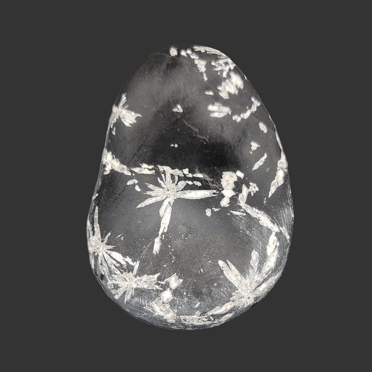 This is the front side of this Chrysanthemum stone. It is Mostly black, with some white patterns and lines.