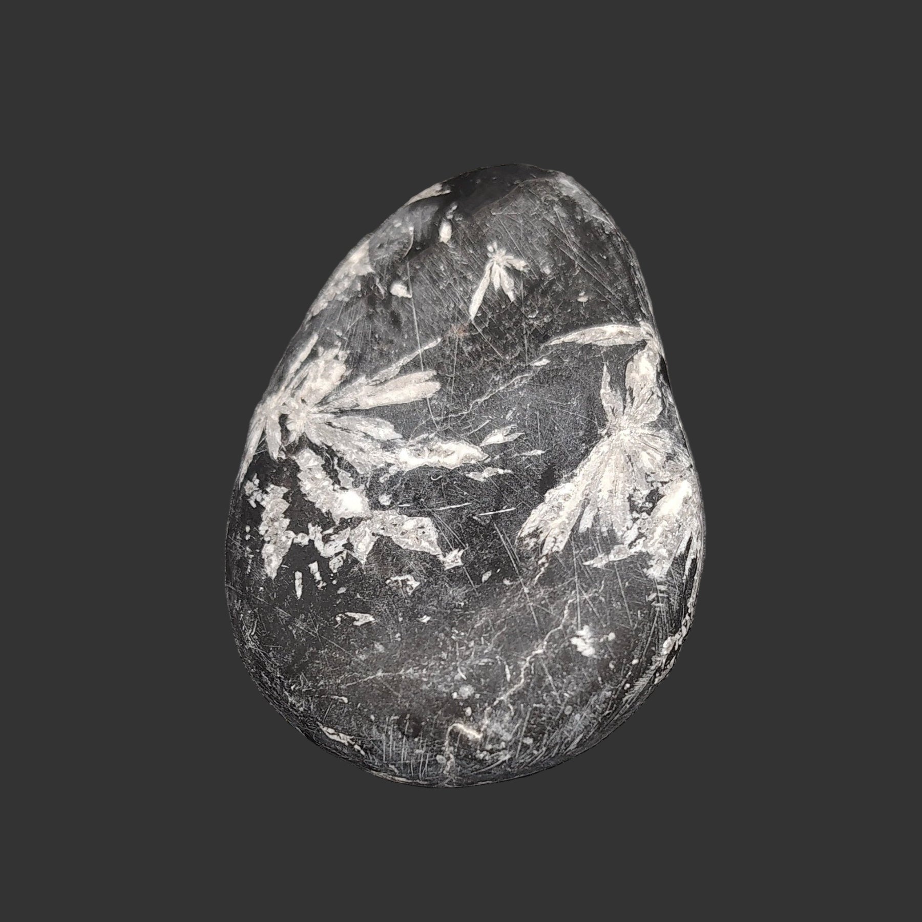 This is the back side of this Chrysanthemum stone. It is also mostly black with a couple flower looking white design patterns.