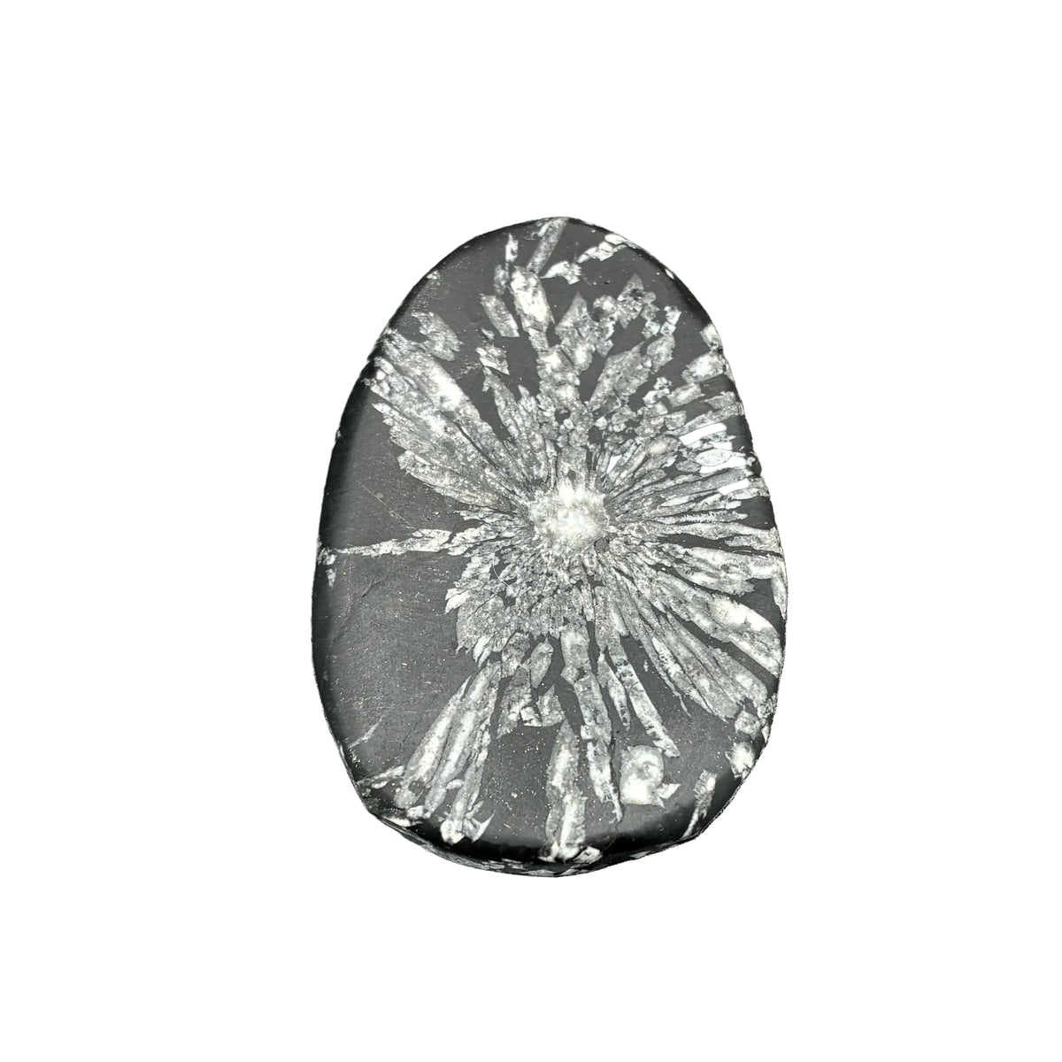 Back side of this chrysanthemum stone, in front of a white background.
