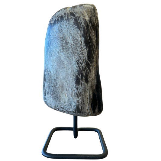 Petrified Wood Polished On Stand