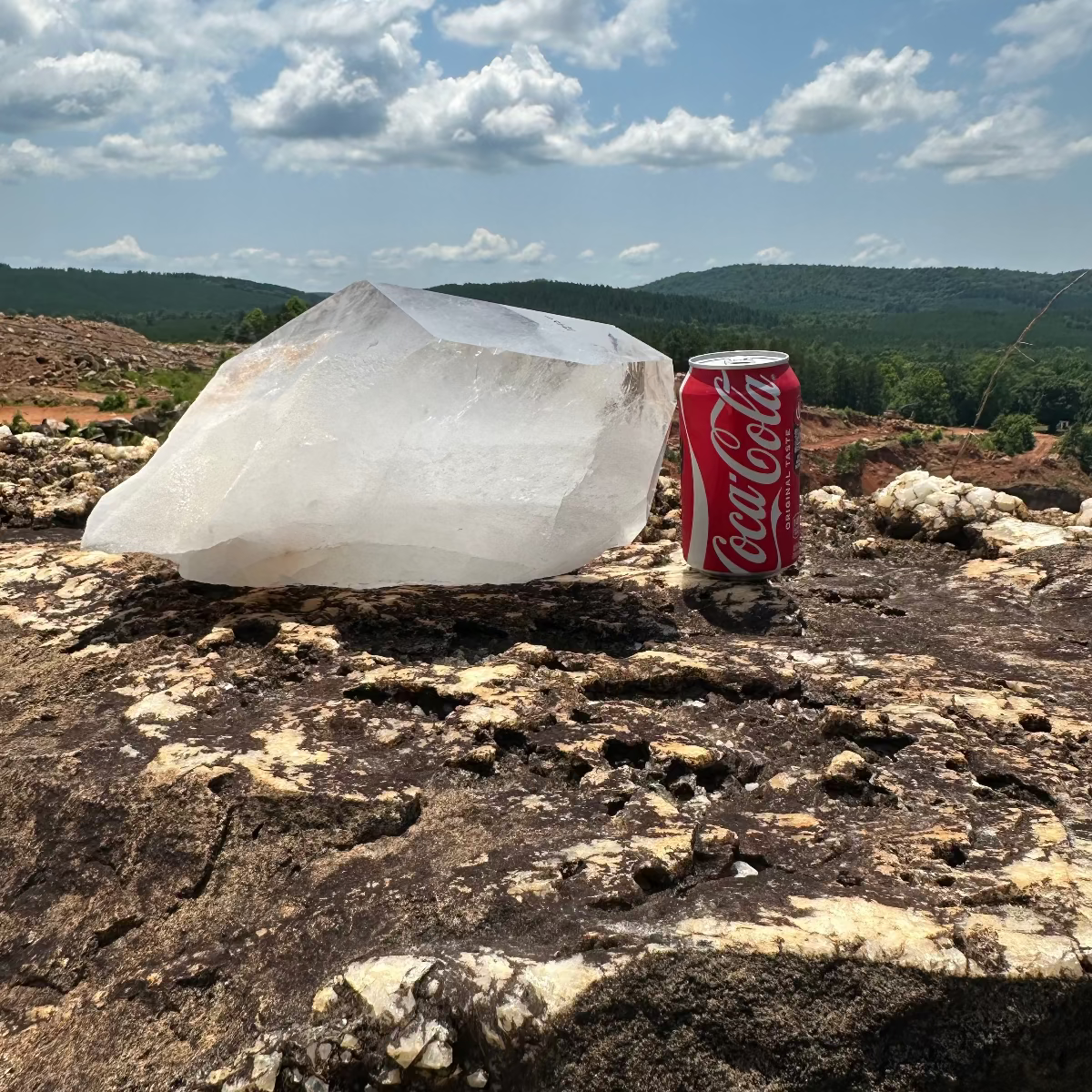 Large Quartz Point on boulder with soft drink can to show scale