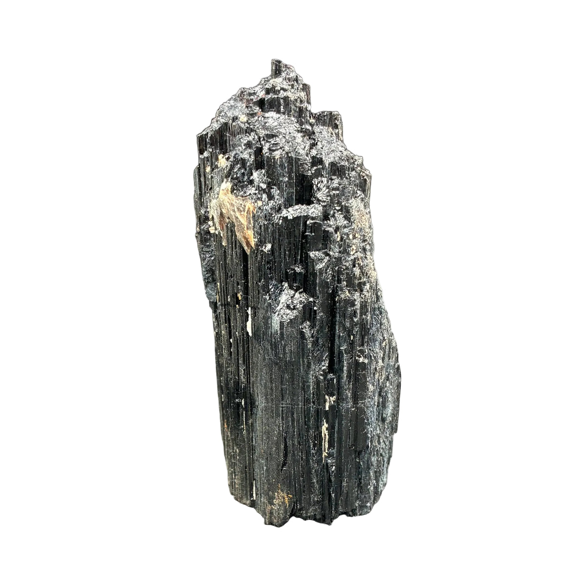 Left side of this black tourmaline, in front of a white background.