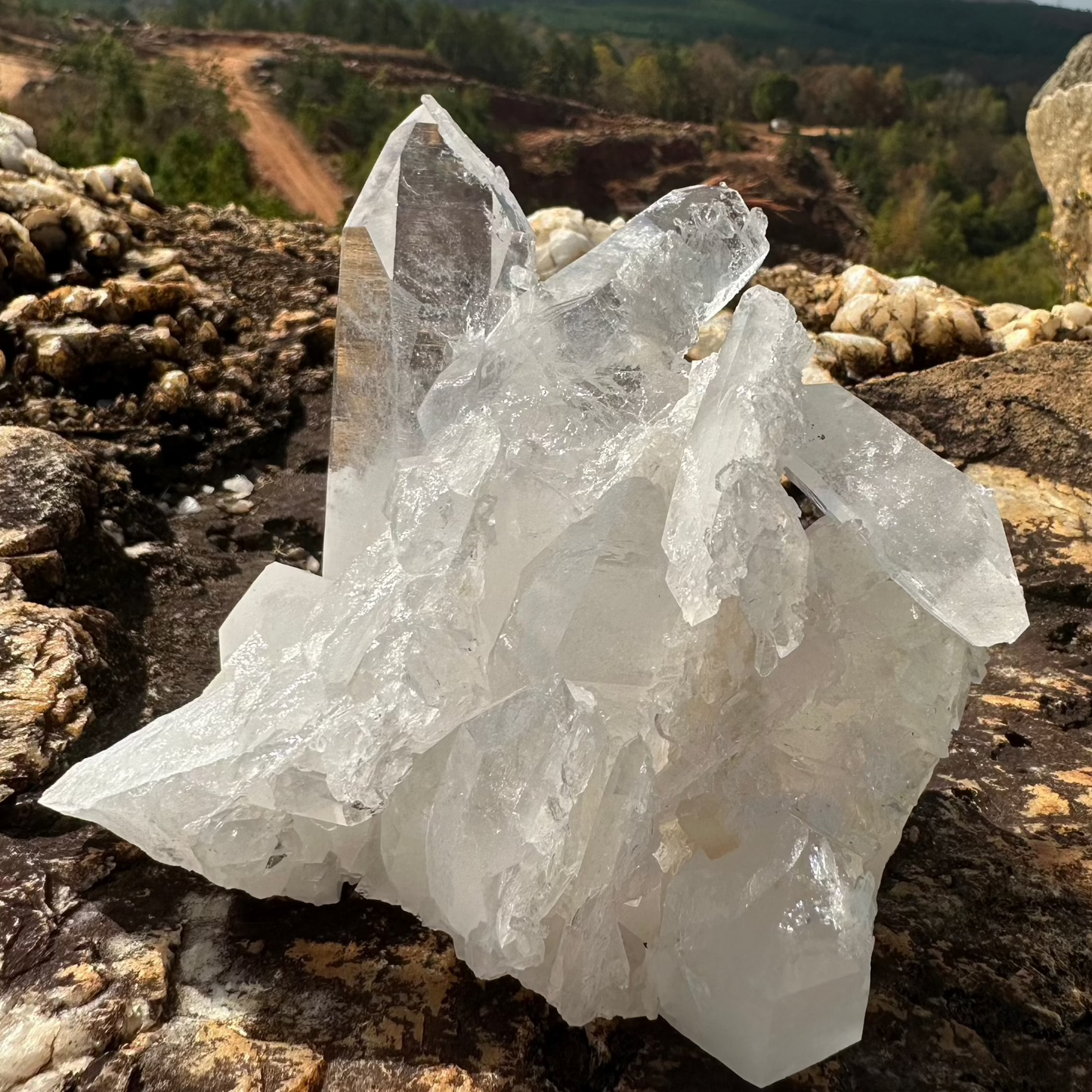 Ron Coleman Mined Quartz Crystal Cluster On A Rock Overlooking the quartz mine