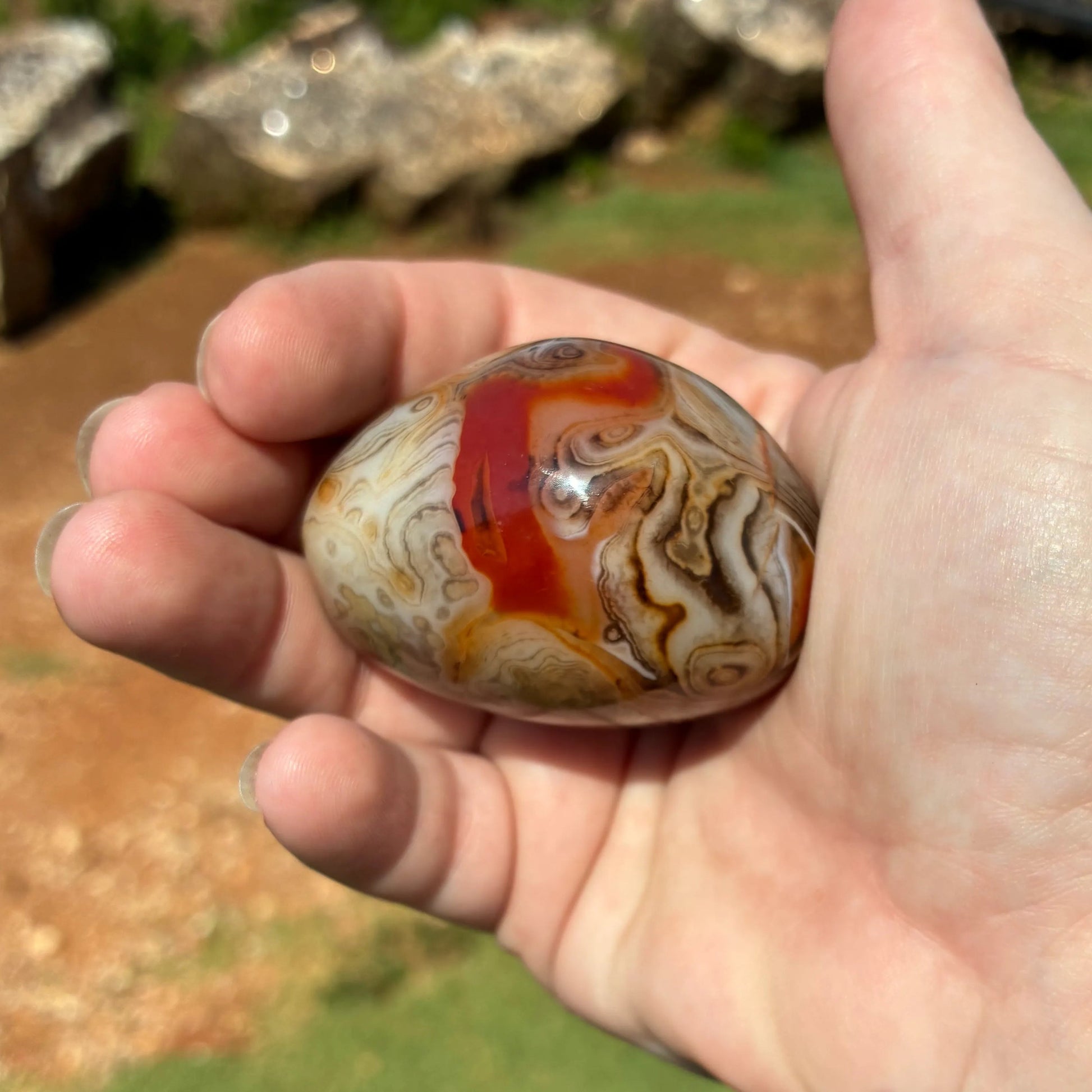 Front side of this polished Sardonyx palm stone, in front of a outdoors setting.