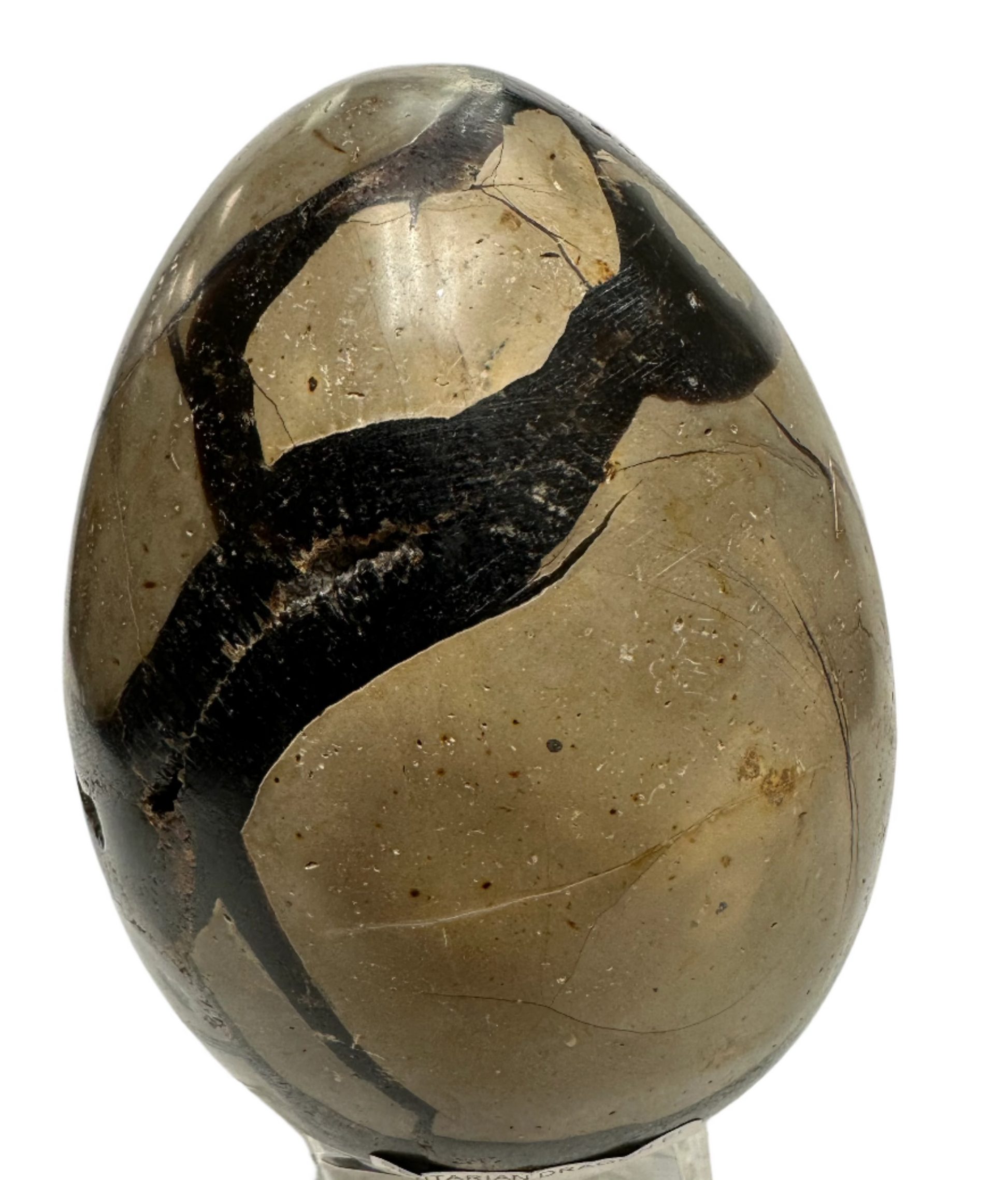 Septarian Egg Dragon Egg Back