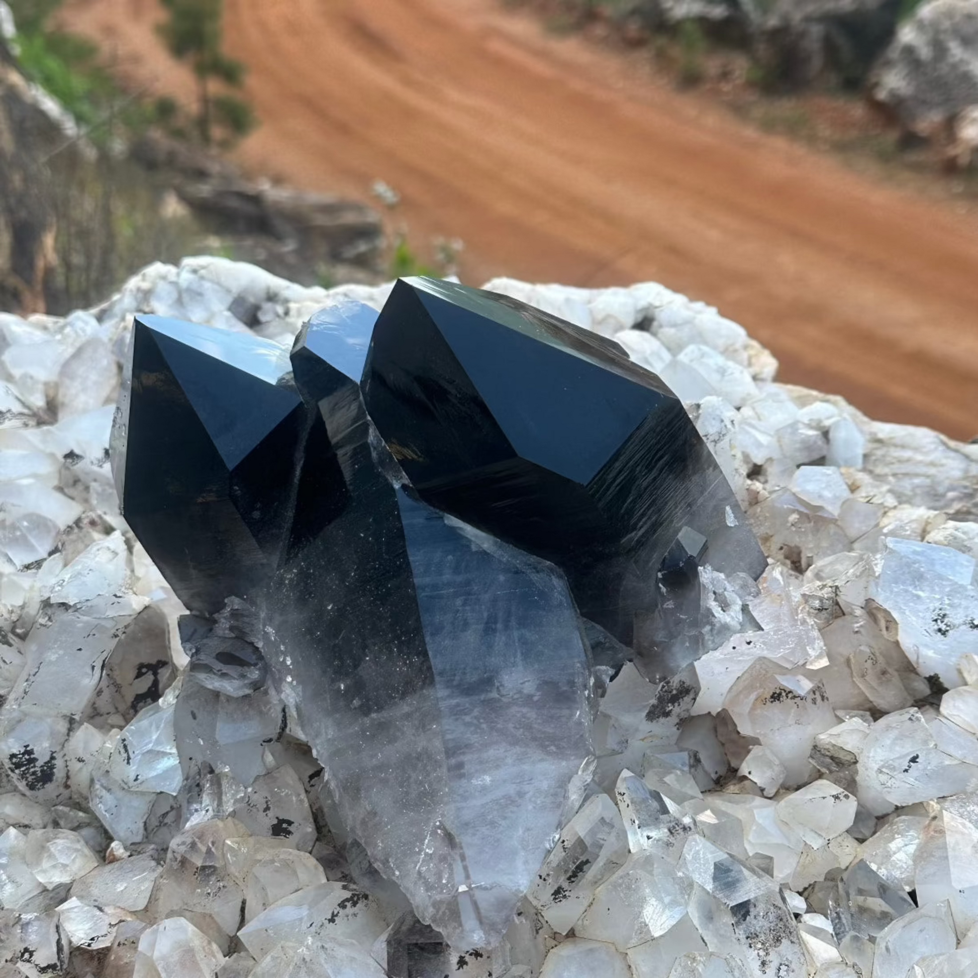 Smoky Quartz Cluster Sitting On A Quartz Crystal Covered Boulder