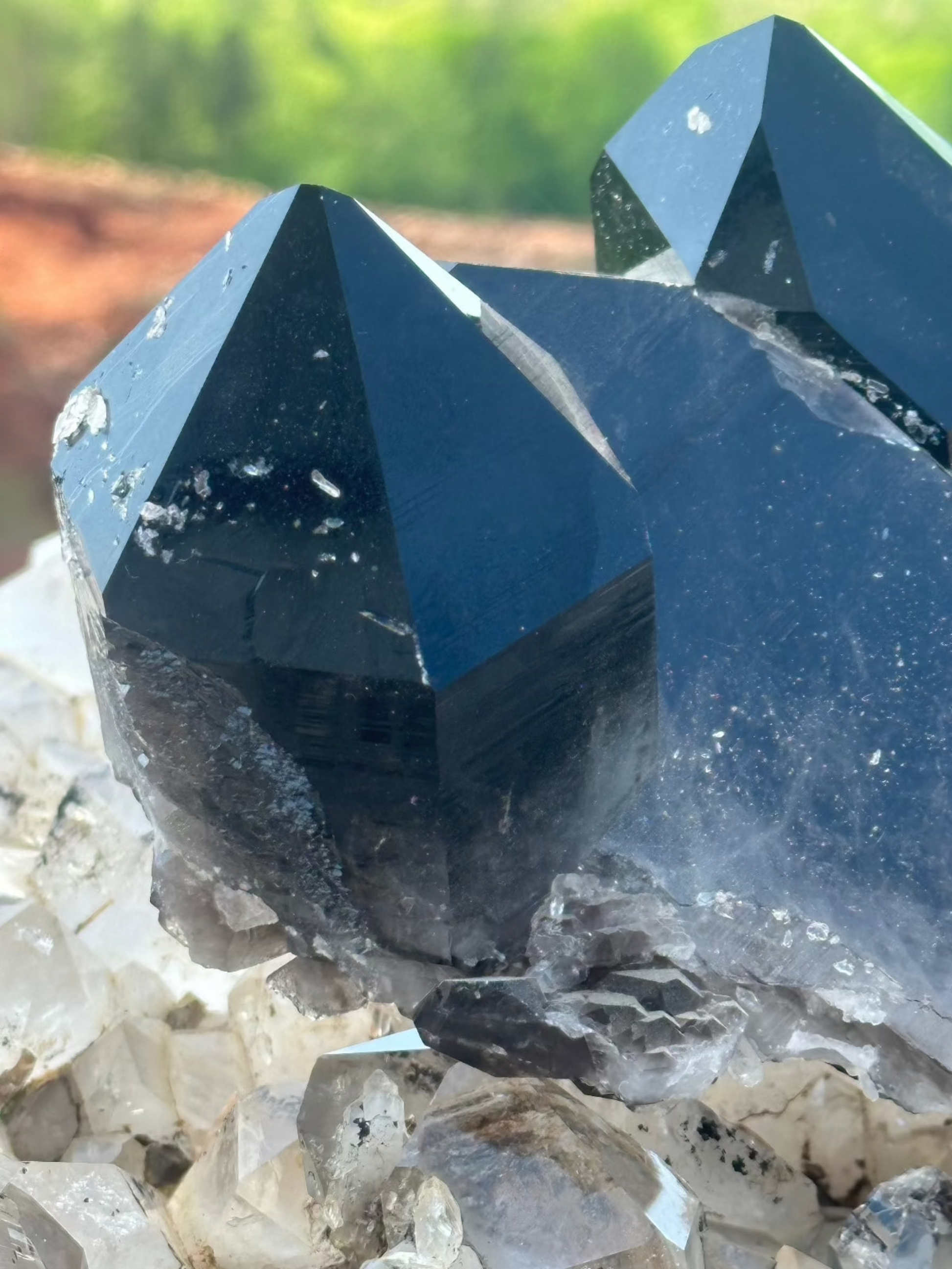 Irradiated Smoky Quartz With Trees In Background