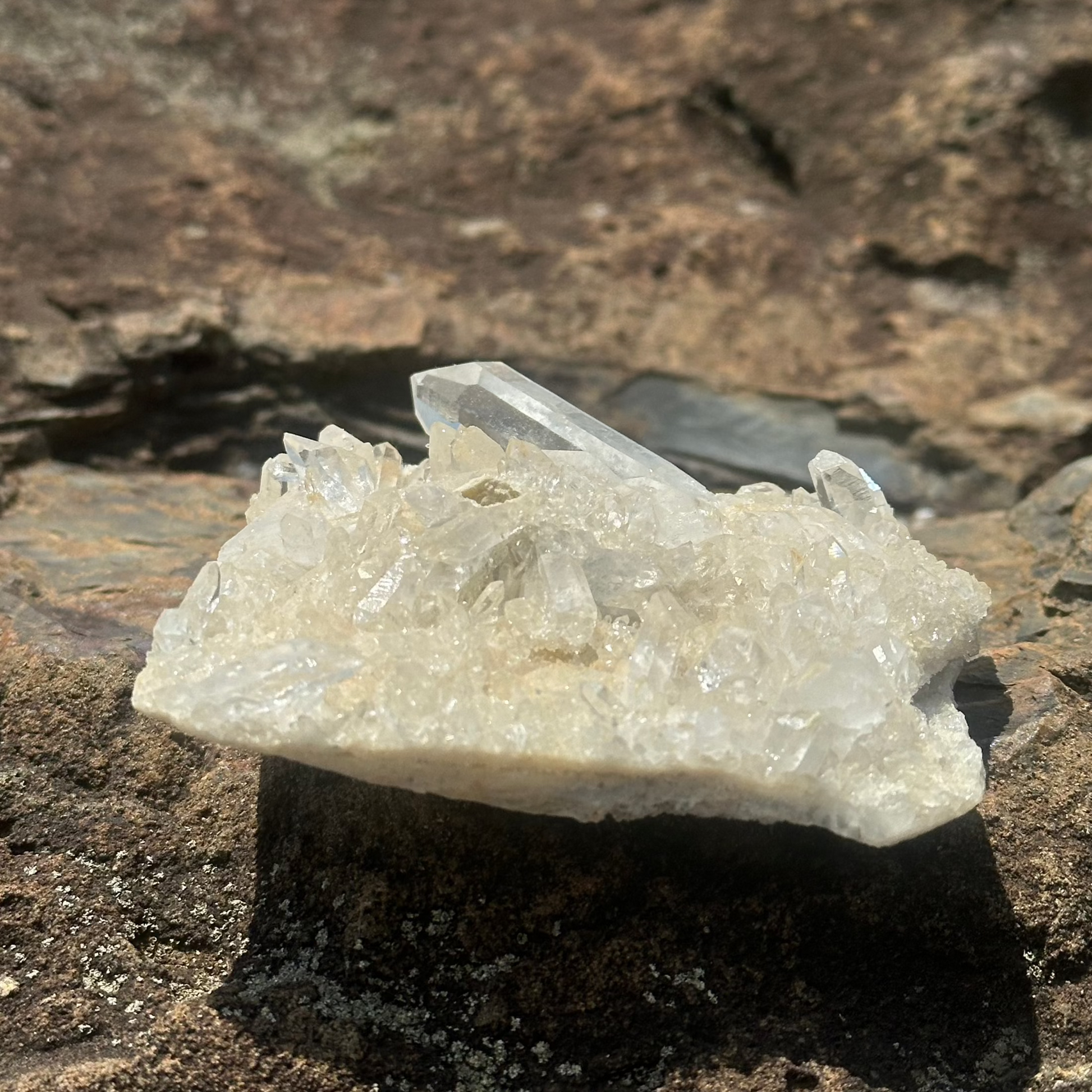 Small Crystal Cluster From Ron Coleman Mining Direct Sunlight