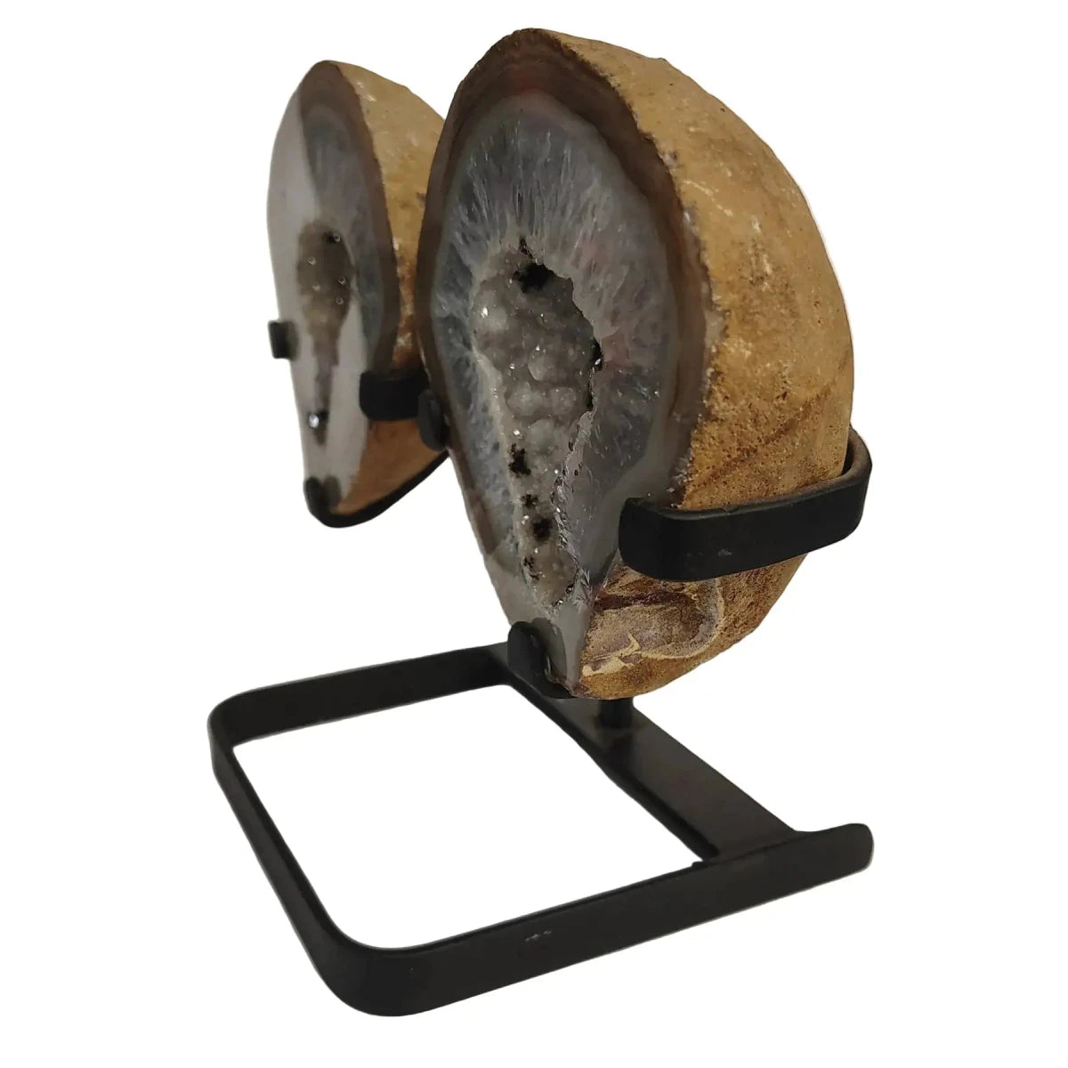 This is the side view of this tan and white Agate butterfly wings on a black metal stand.