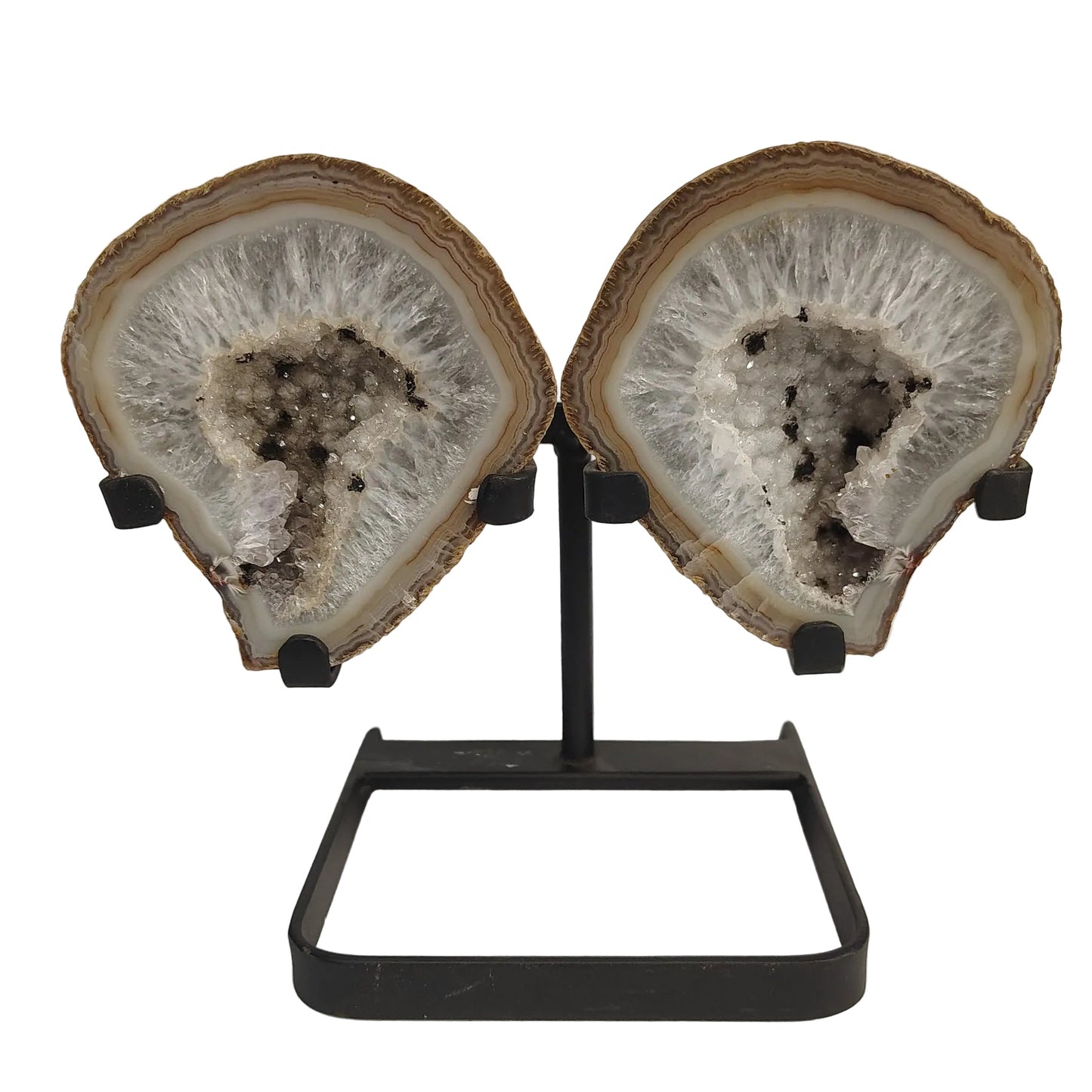 This is the front side of these tan and white Agate butterfly wings on a black metal stand. 