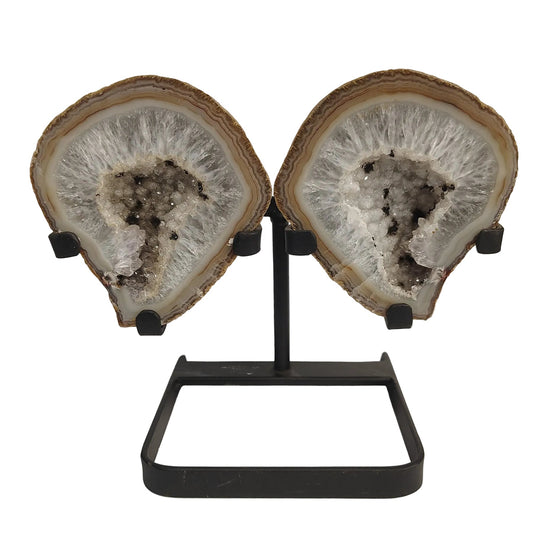 This is the front side of these tan and white Agate butterfly wings on a black metal stand. 