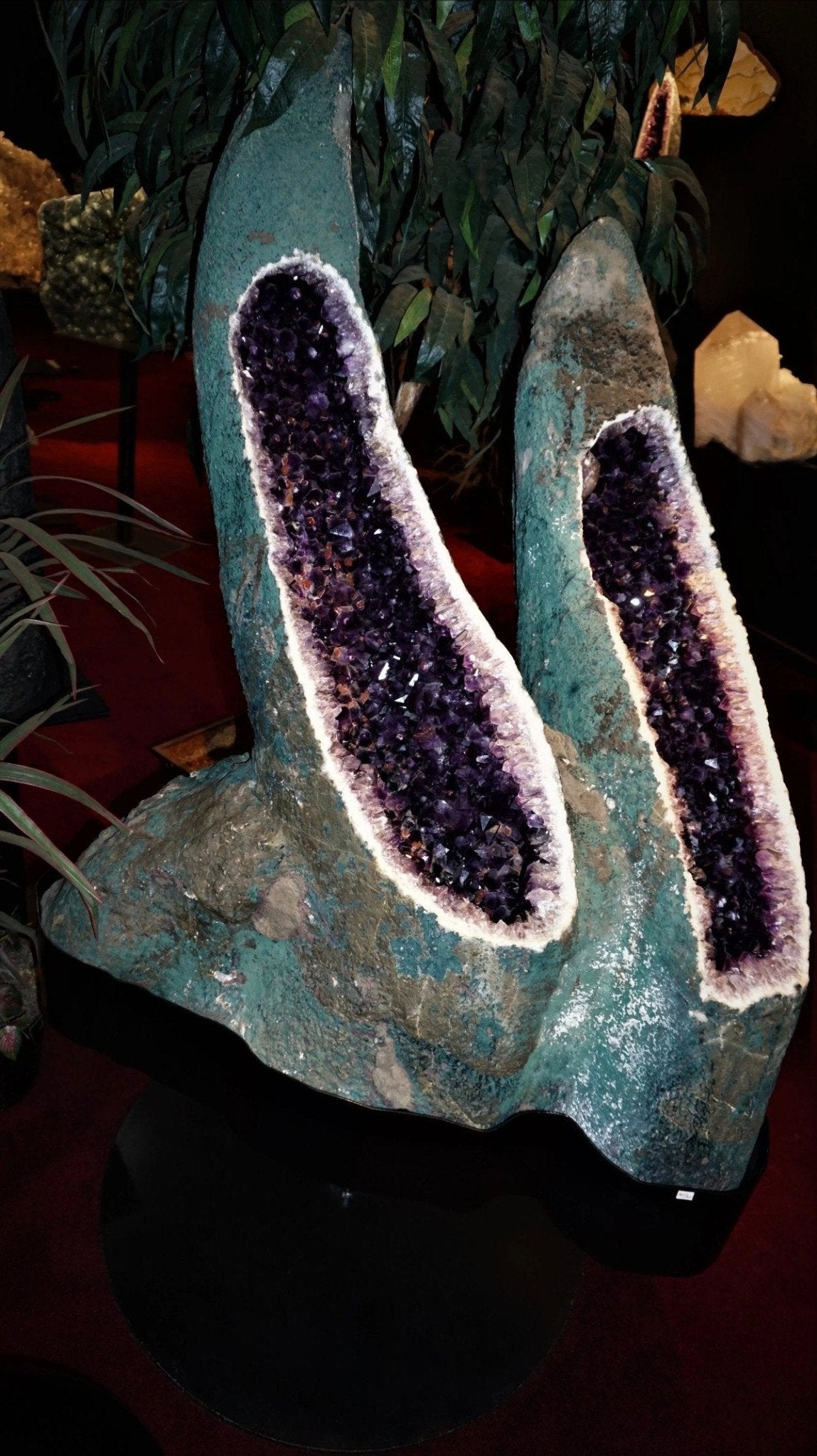 Amethyst Geode: A Great Choice For Collectible Minerals