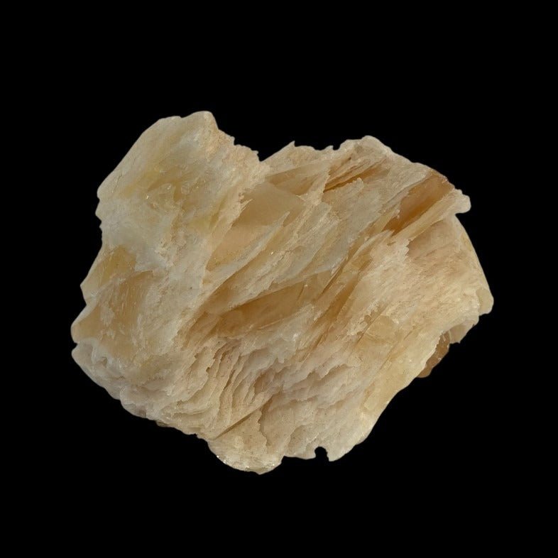 Angel Wing Calcite