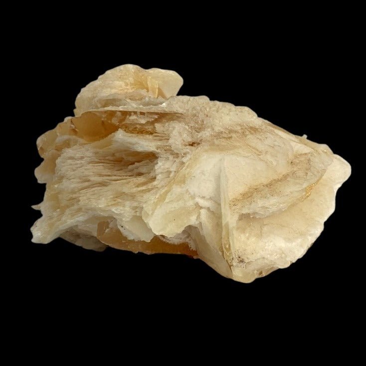 Angel Wing Calcite