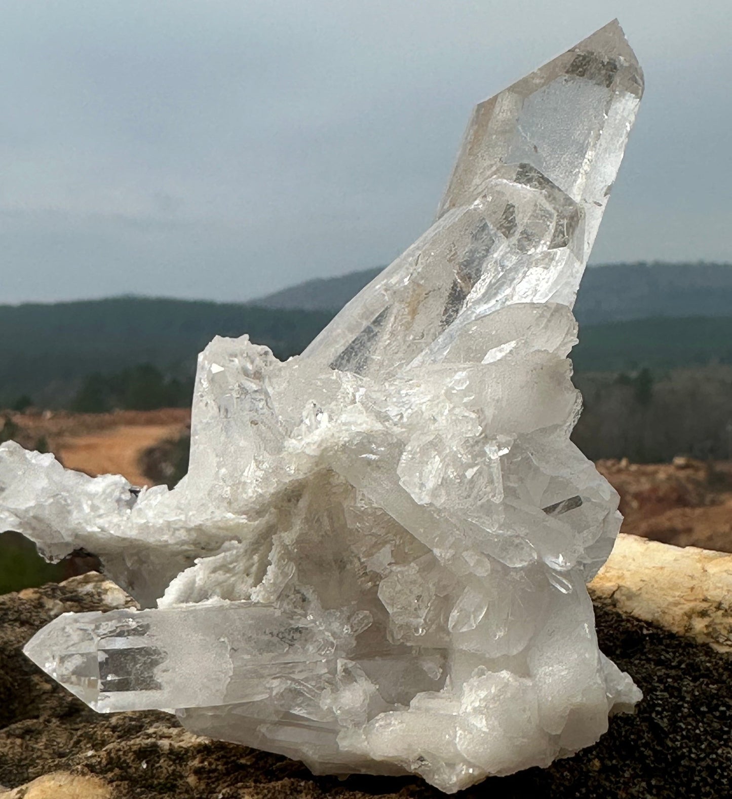 Arkansas Collector Quartz Crystal Cluster Ron Coleman Mine