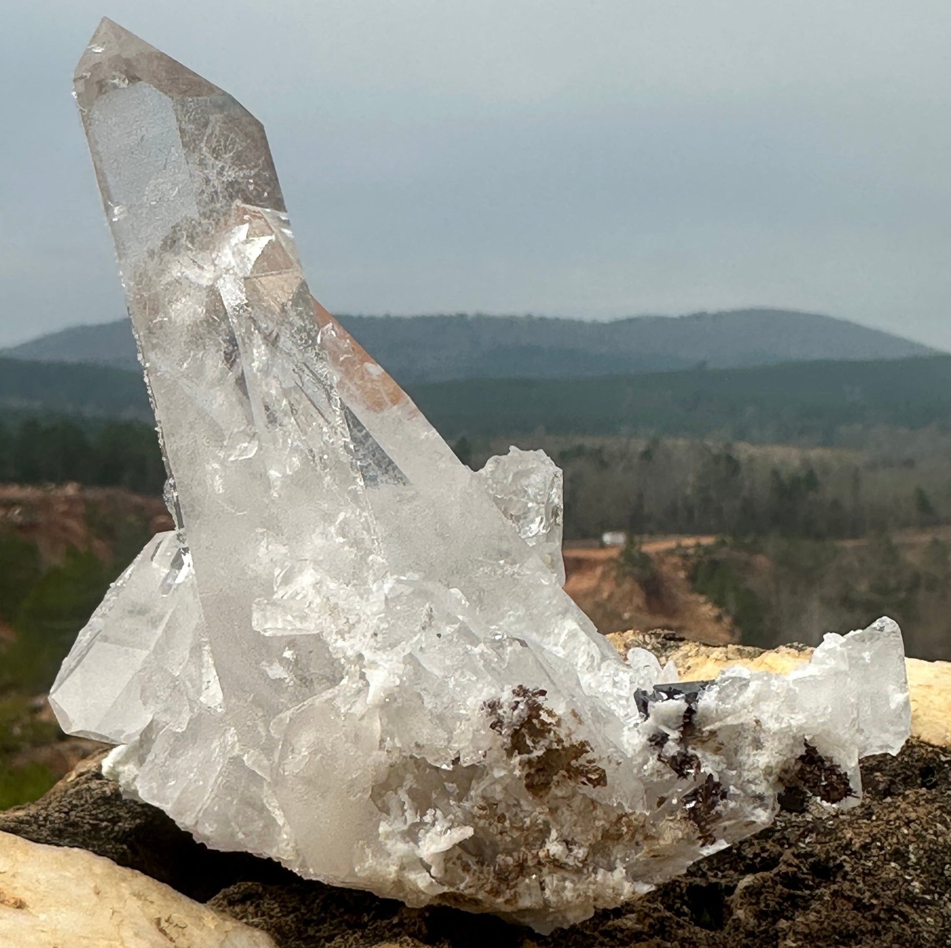 Arkansas Collector Quartz Crystal Cluster Ron Coleman Mine