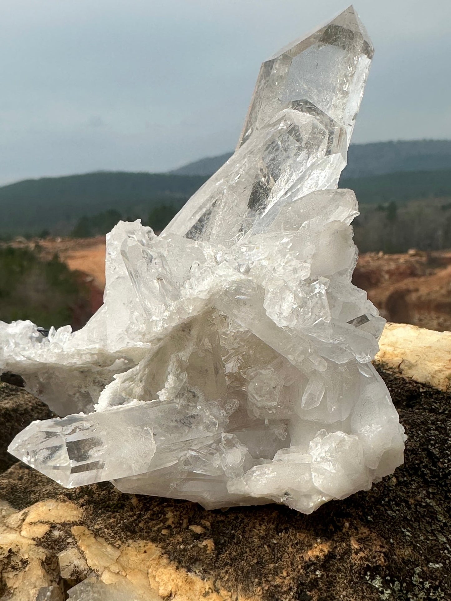 Arkansas Collector Quartz Crystal Cluster Ron Coleman Mine