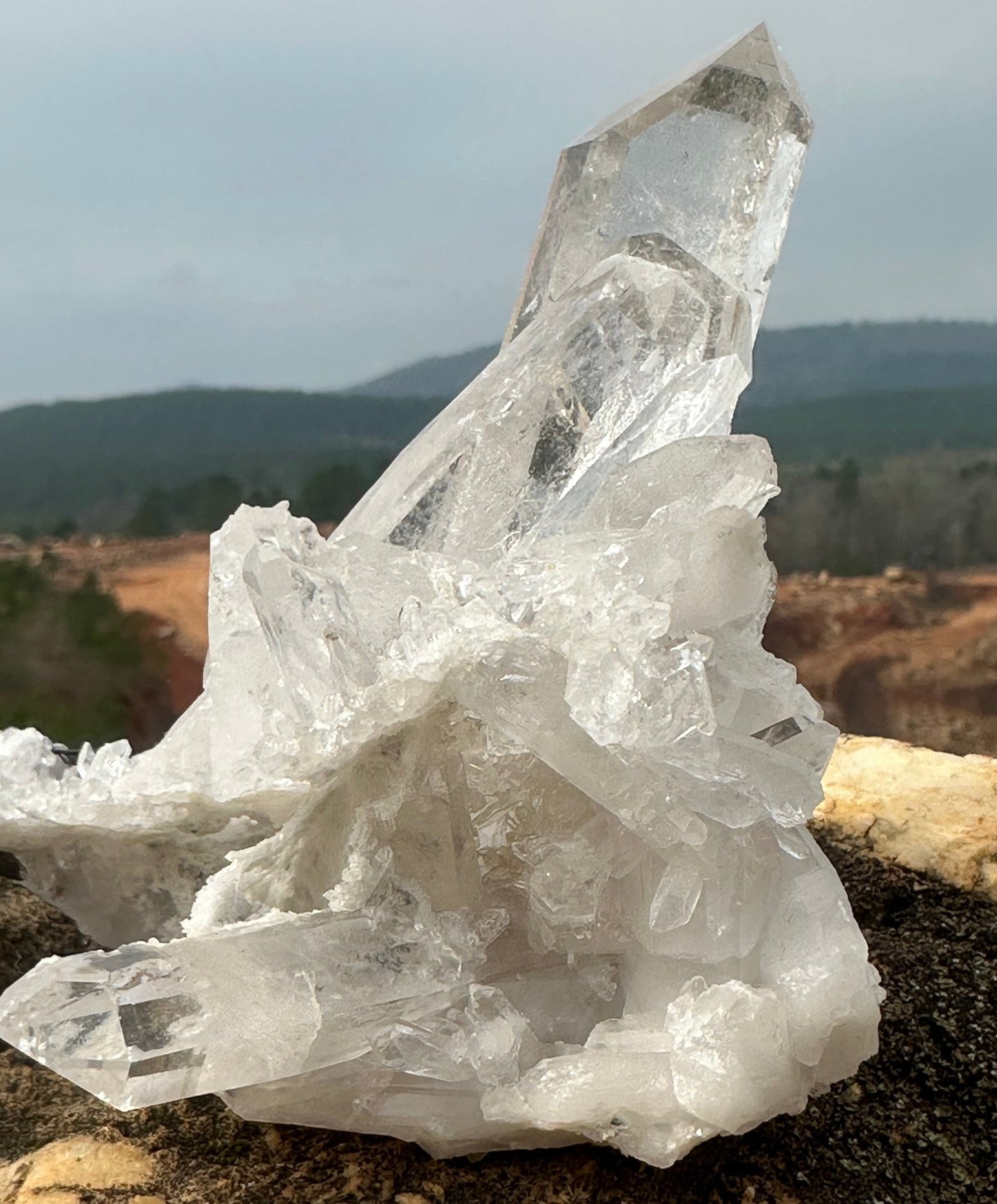 Arkansas Collector Quartz Crystal Cluster Ron Coleman Mine