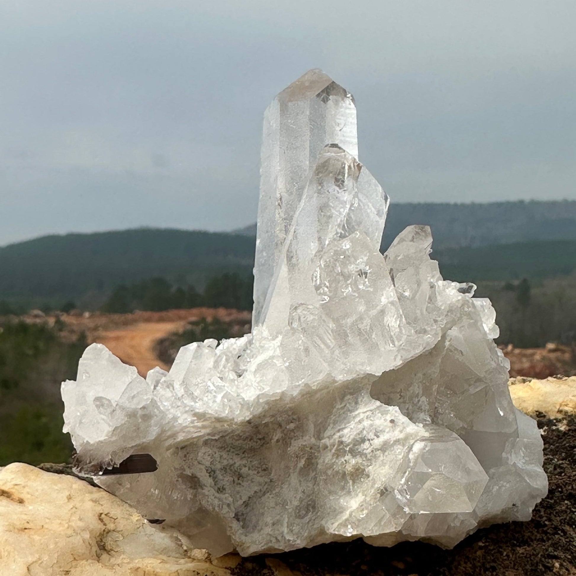 Arkansas Collector Quartz Crystal Cluster Ron Coleman Mine