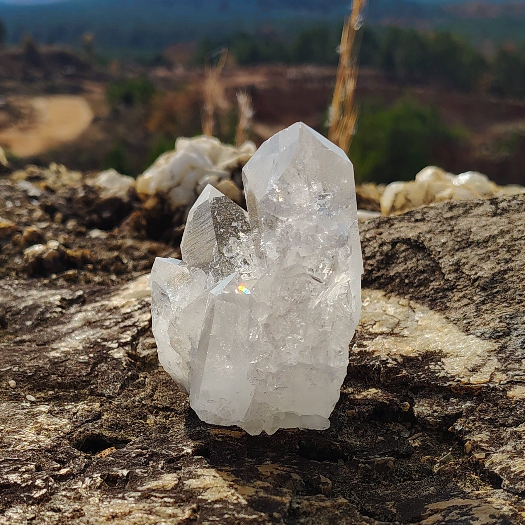 On the left side there is barnacles and fairy dust covering the side of two quartz crystal points.