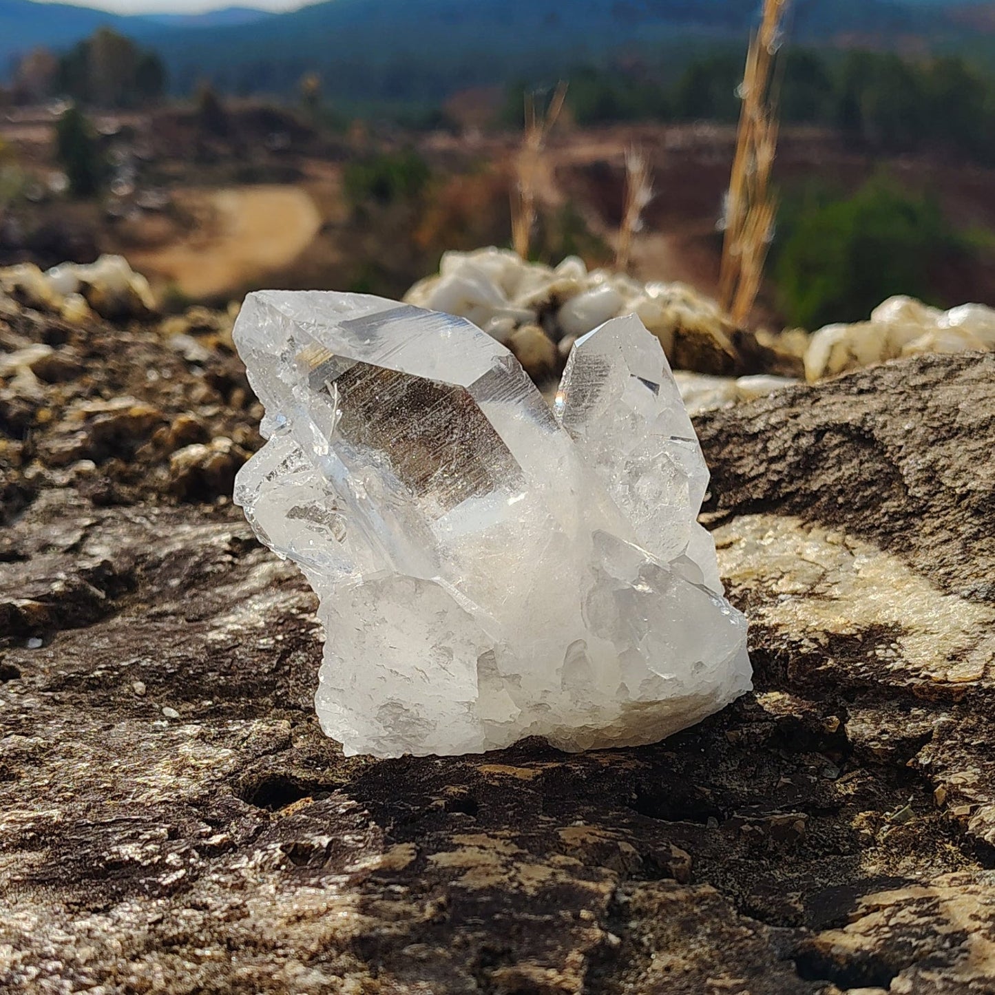From the backside view you can see how water clear the quartz crystal points are on this cluster.