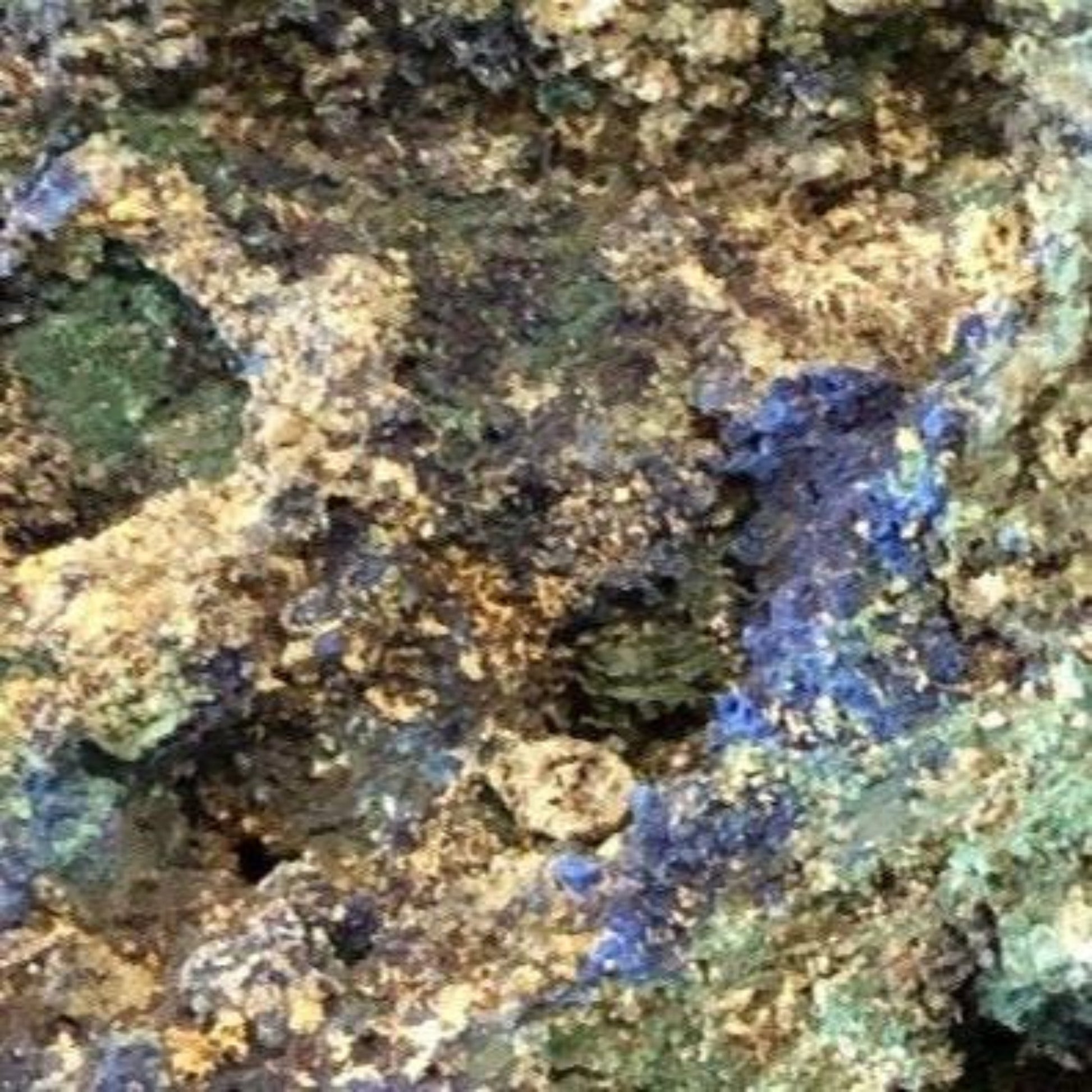 Azurite With Malachite Mineral Specimen Blue Green Rock