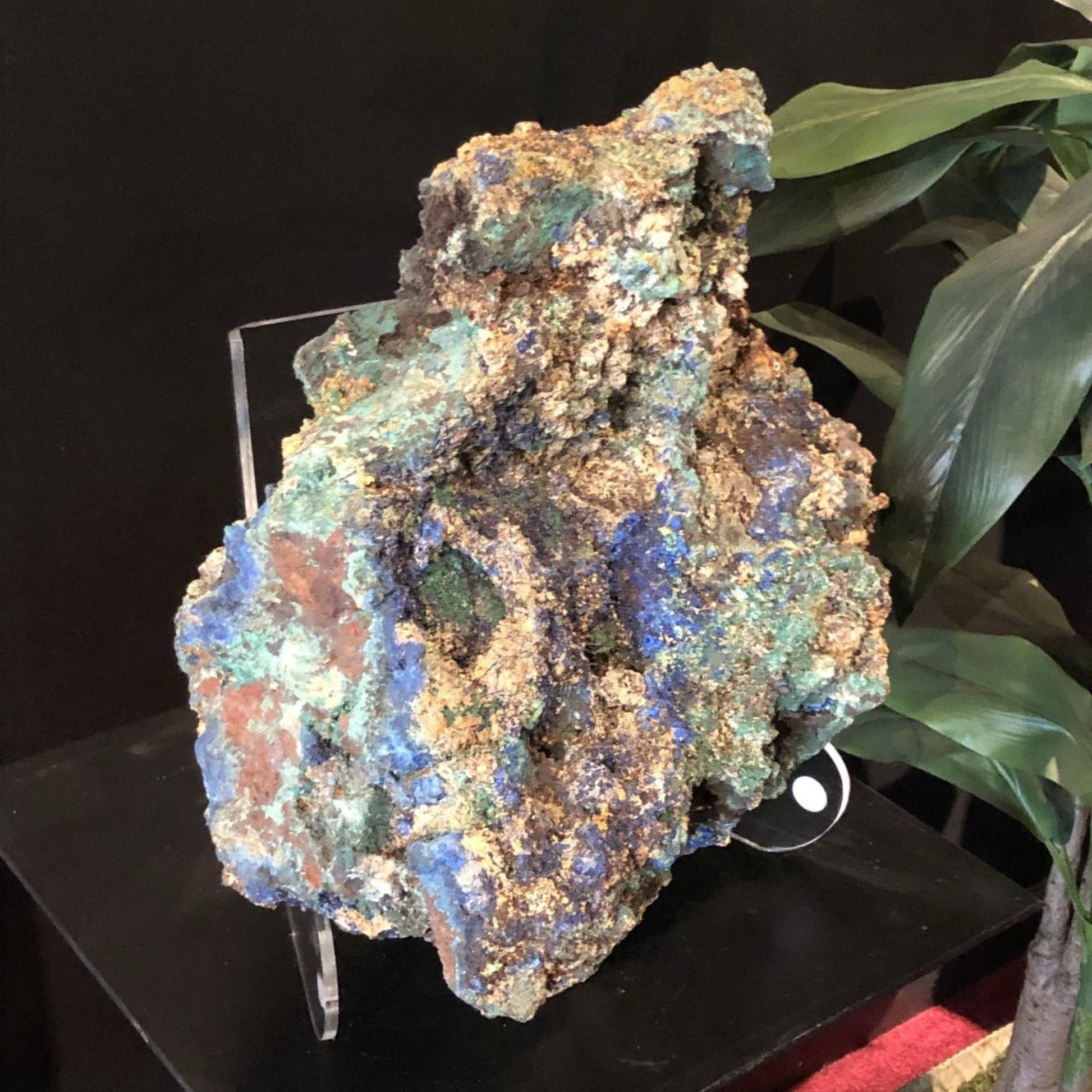 Azurite With Malachite Mineral Specimen Blue Green Rock