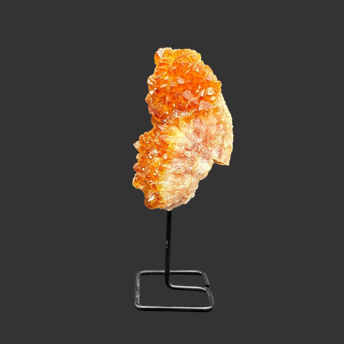 Left side of this citrine on a stand, in front of a black background.