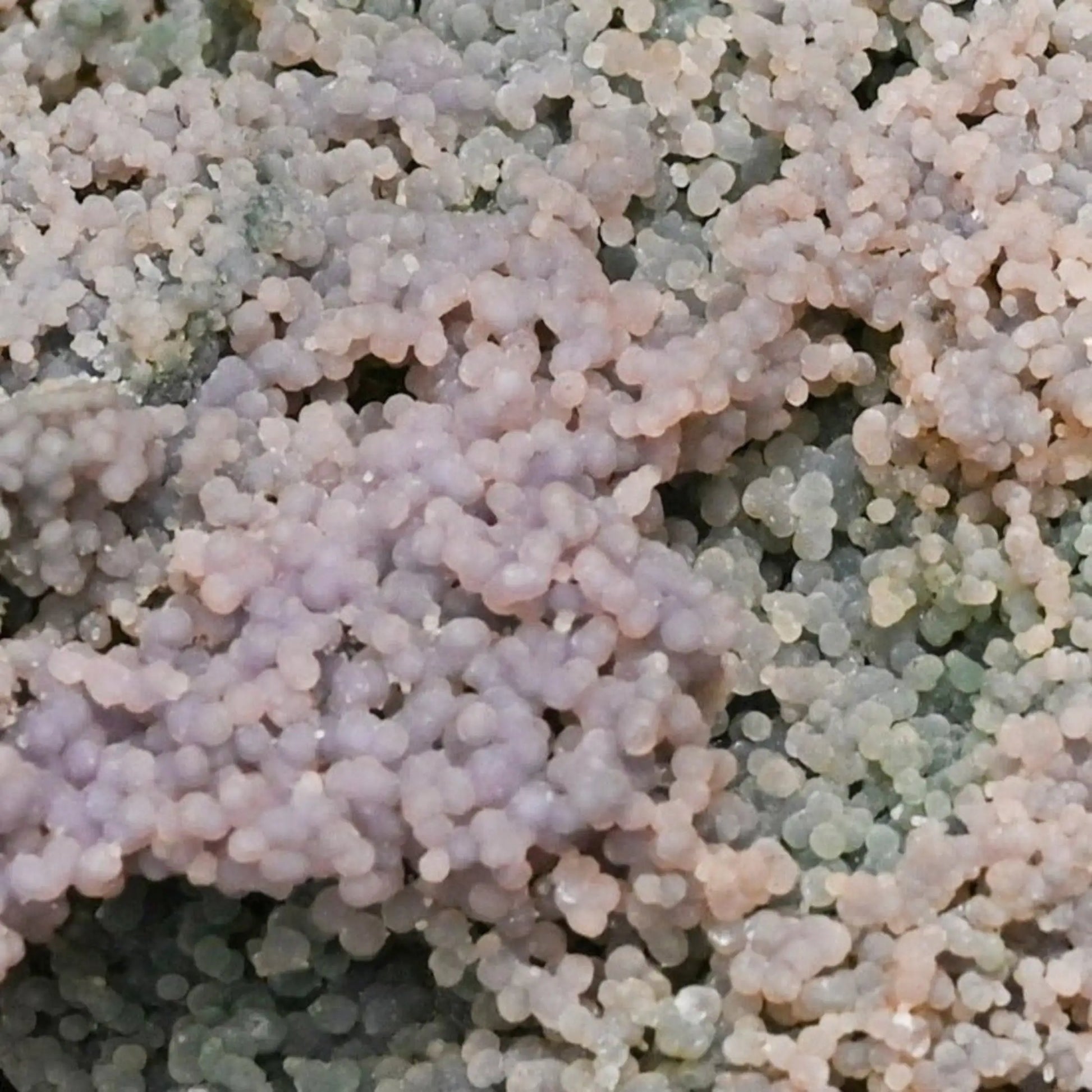 Violet Purple Stone Cluster Close Up