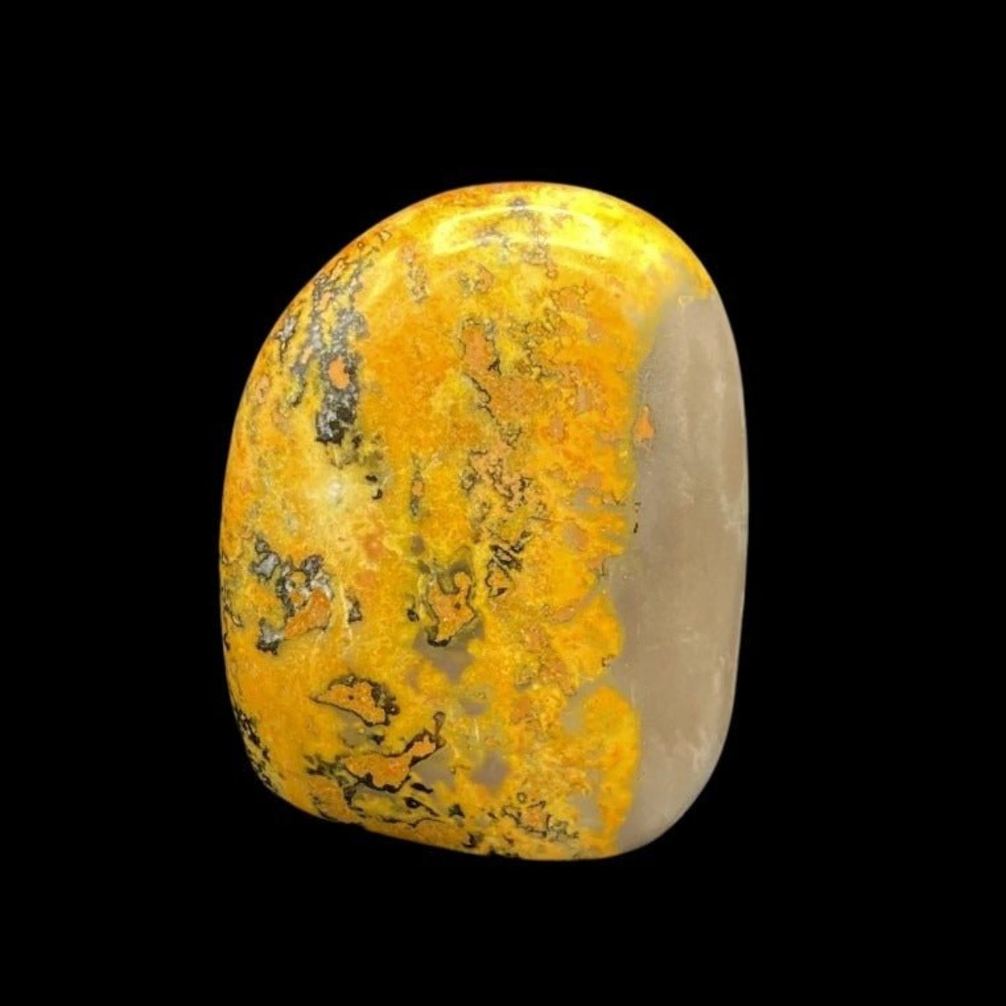 Bumble Bee Jasper Polished Small Specimen