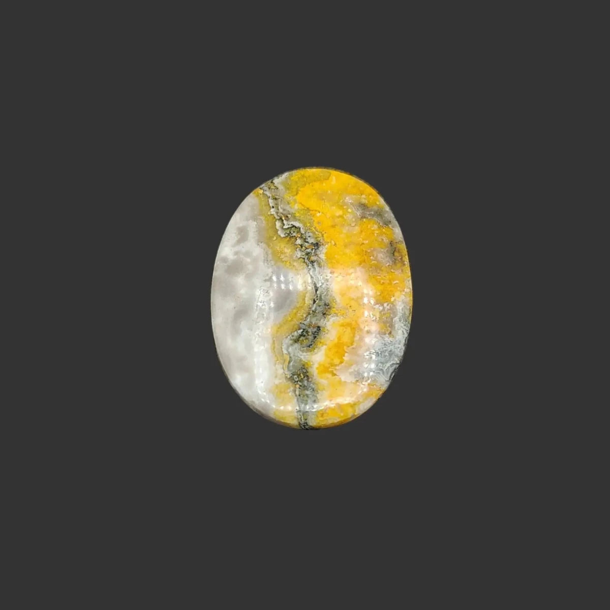 #5 larger oval shape Bumble Bee Jasper
