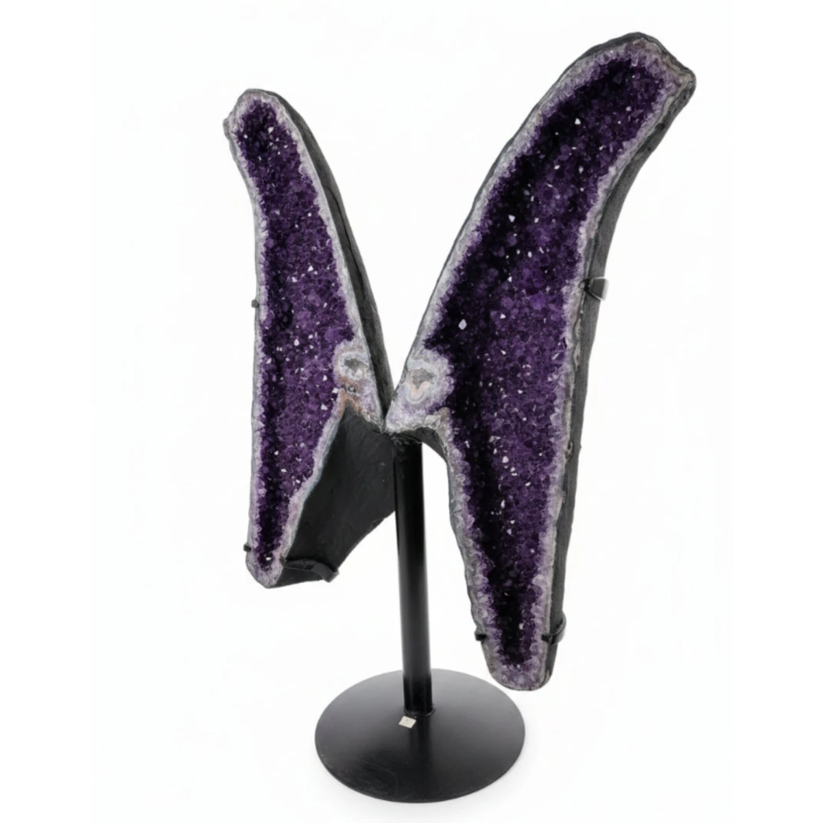 Right side of this very large amethyst butterfly wings.