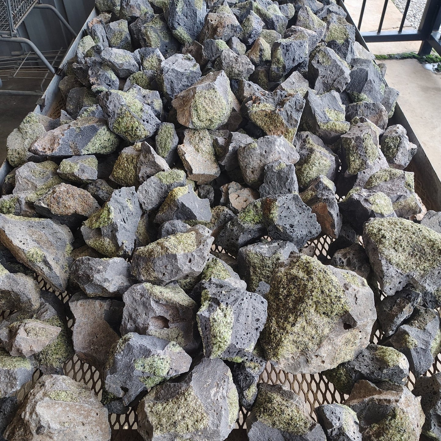 We have a variety of sizes to choose from.