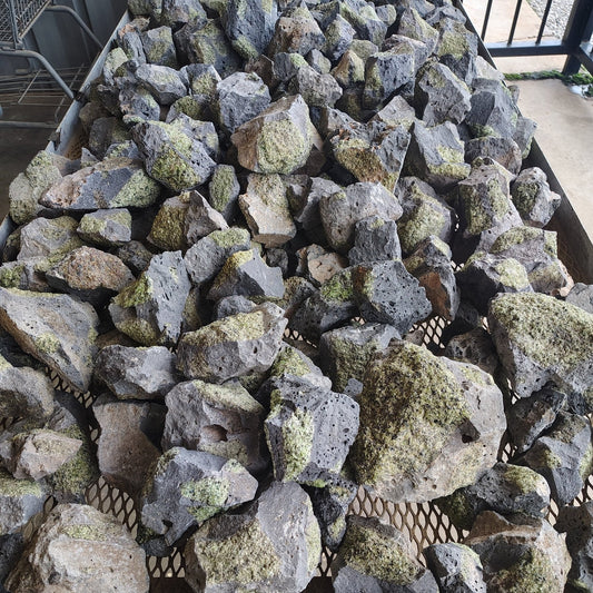 We have a variety of sizes to choose from.