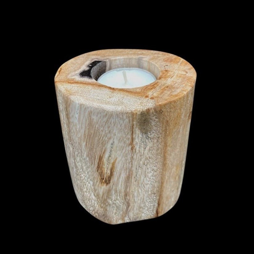 Candle Holder Polished Petrified Wood