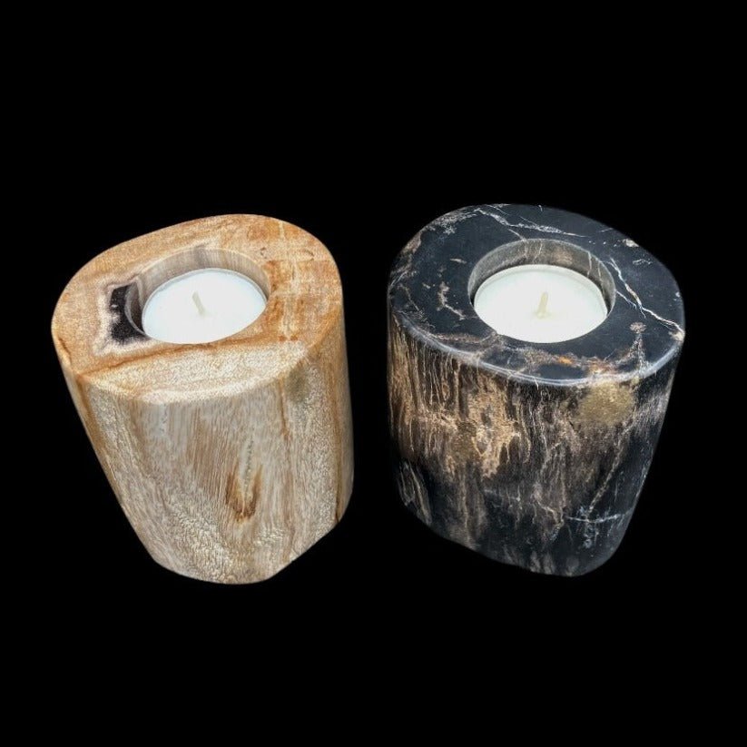 Candle Holder Polished Petrified Wood