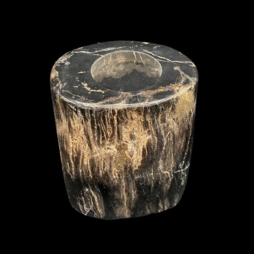 Candle Holder Polished Petrified Wood