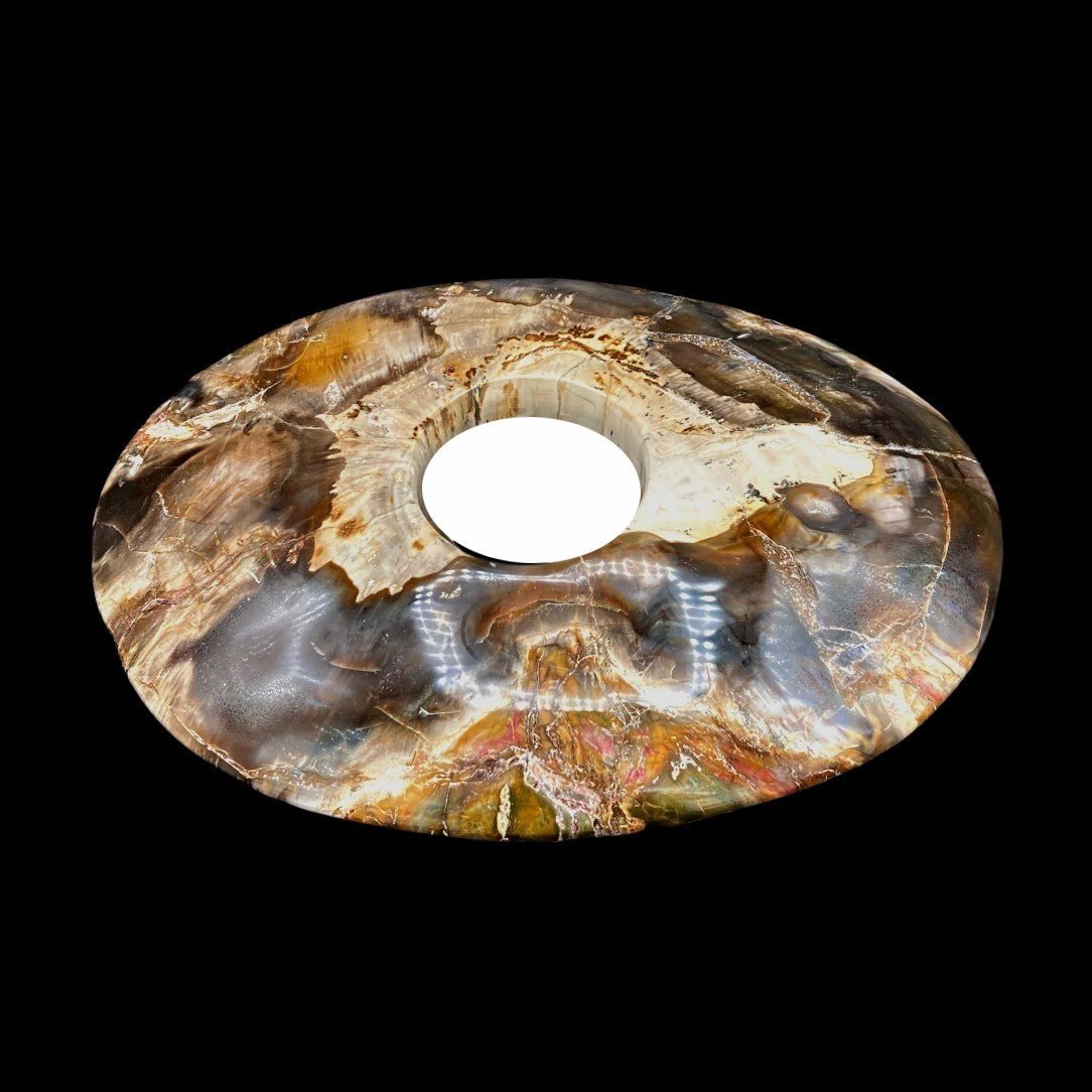 Candle Holder Wood Polished Petrified Carved Oval Shape