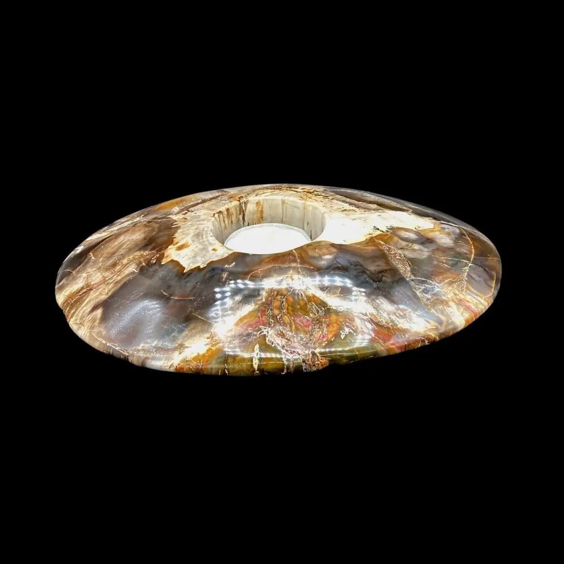 Candle Holder Wood Polished Petrified Carved Oval Shape