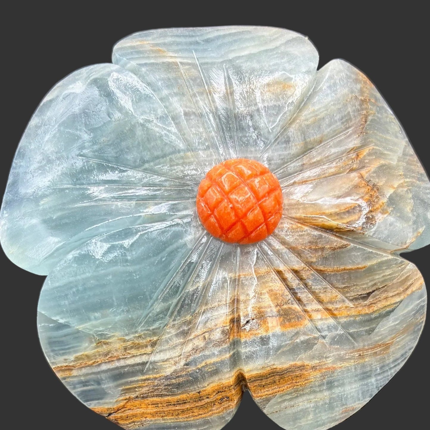 Close up of the blue Onyx daisy on a black background.