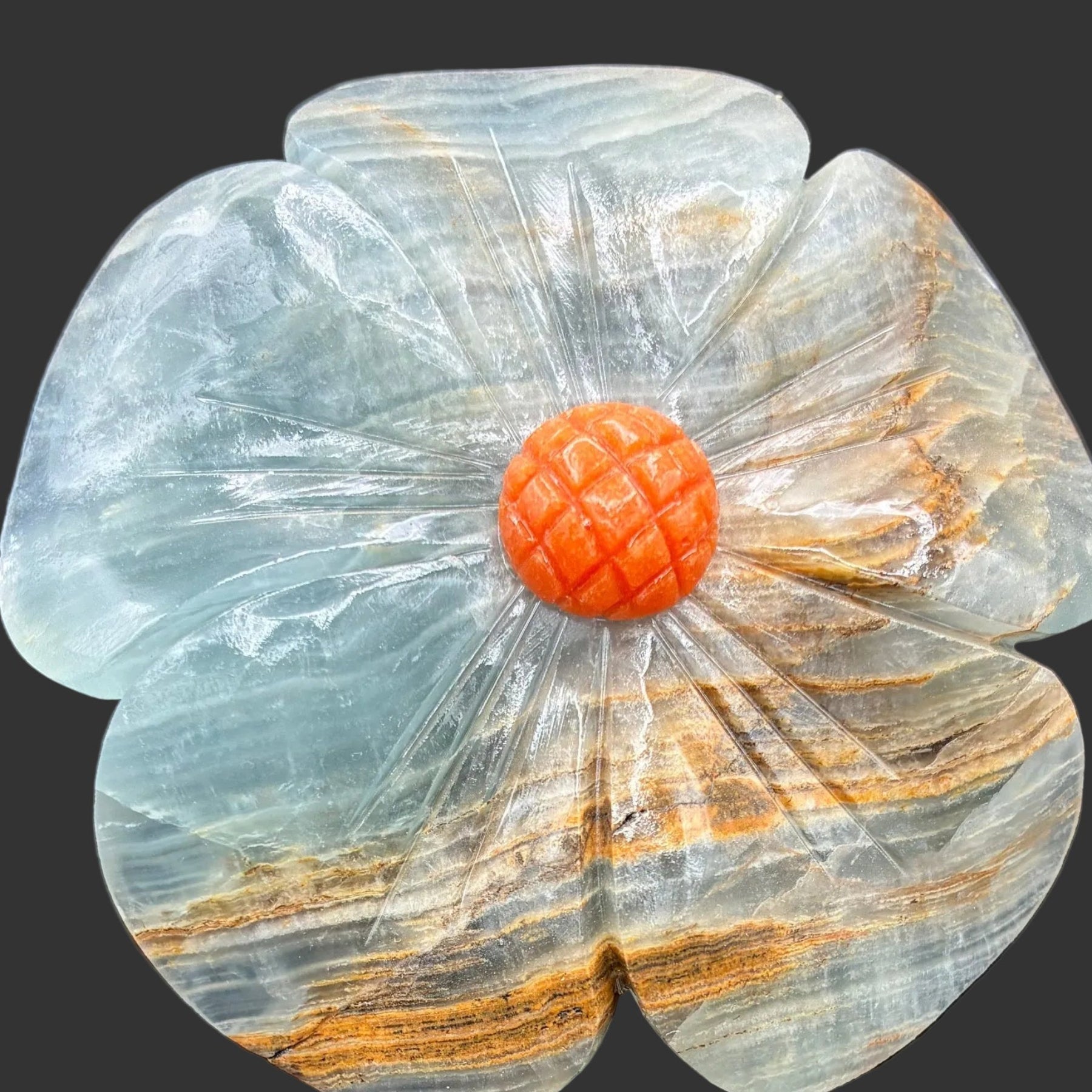 Close up of the blue Onyx daisy on a black background.