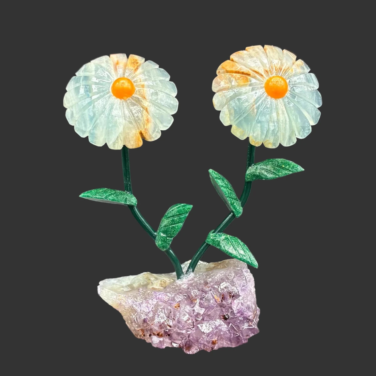 Front view of this double blue onyx daisy flower, in front of a black background.