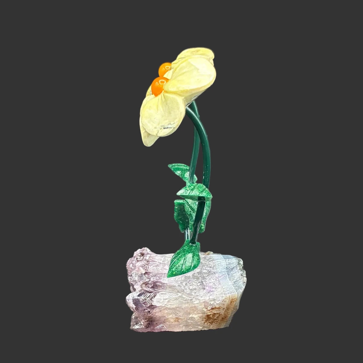 Side view of this green opal flowers, in front of a black background.
